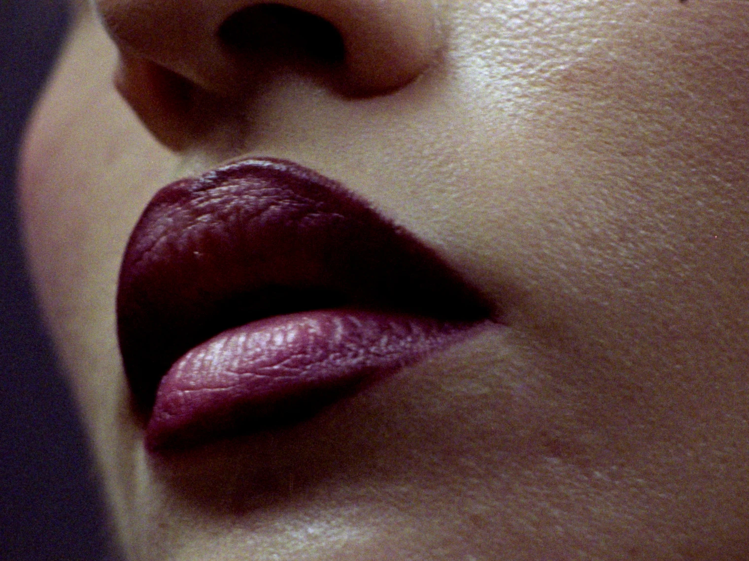 Vogue CS / Krasa se Nehleda — Vogue_Chanel_Editorial_V5.5_PRORES.00_00_06_10.Standbild012.jpg